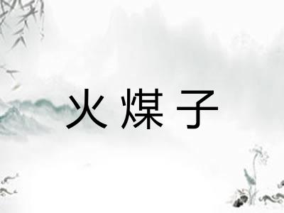 火煤子