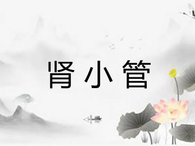 肾小管