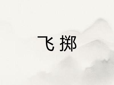 飞掷