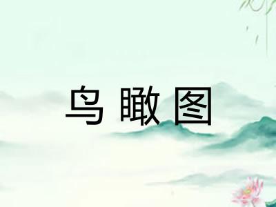 鸟瞰图