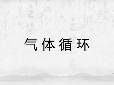 气体循环