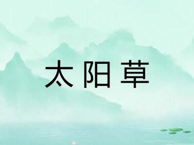 太阳草