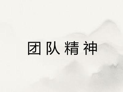 团队精神