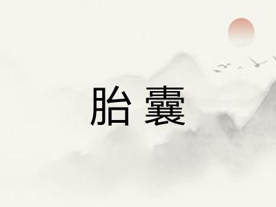 胎囊