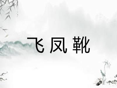 飞凤靴