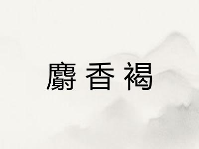 麝香褐