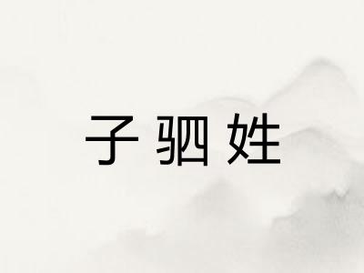 子驷姓