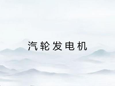 汽轮发电机