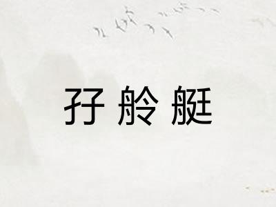 孖舲艇