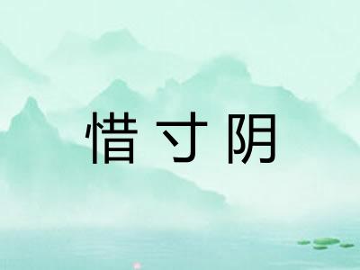 惜寸阴