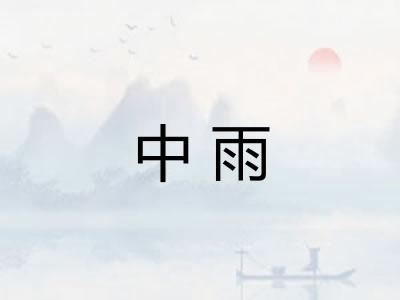 中雨