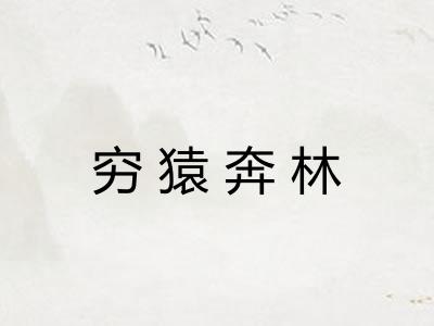 穷猿奔林