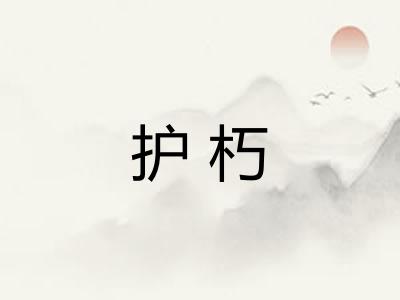 护朽