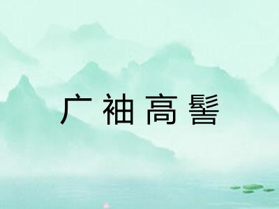 广袖高髻