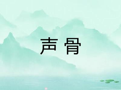 声骨