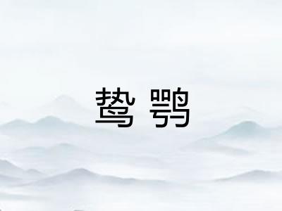 鸷鹗