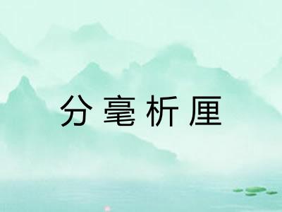 分毫析厘