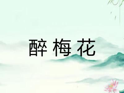醉梅花