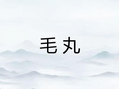 毛丸