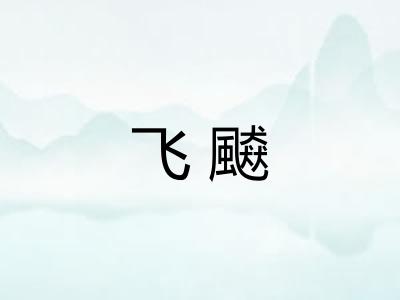 飞飇