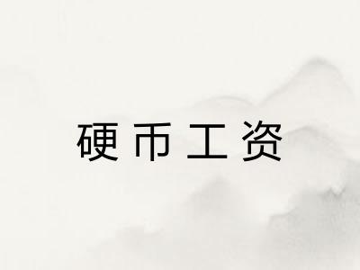 硬币工资