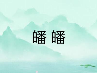 皤皤