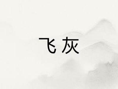 飞灰