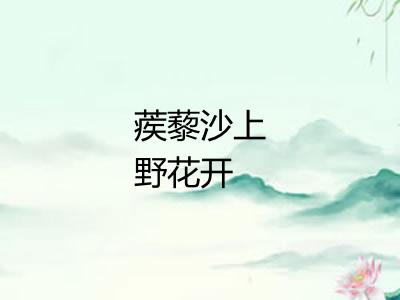 蒺藜沙上野花开