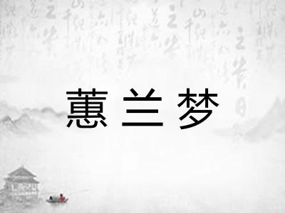 蕙兰梦