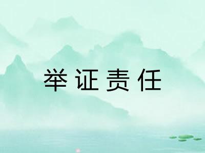 举证责任