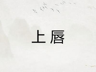 上唇