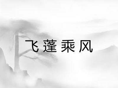 飞蓬乘风