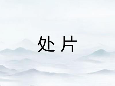 处片