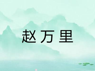 赵万里