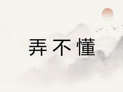 弄不懂
