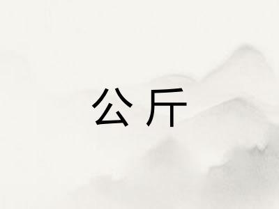 公斤