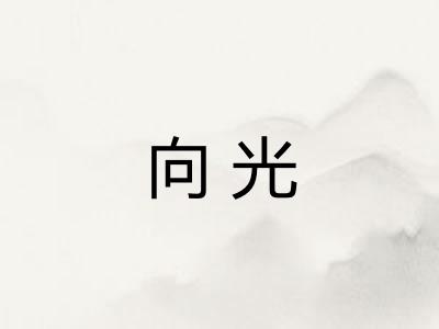 向光