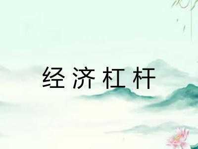 经济杠杆