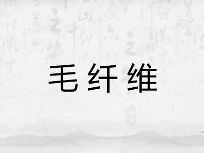 毛纤维