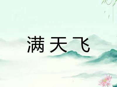 满天飞