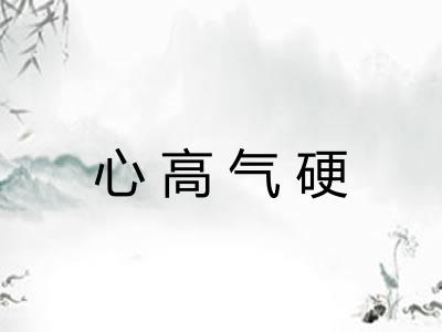 心高气硬