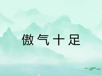傲气十足