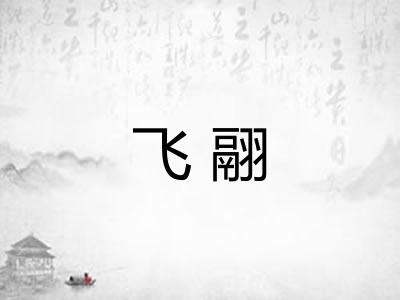 飞翮