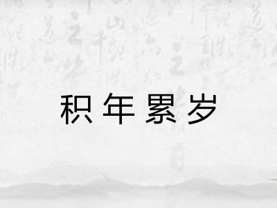 积年累岁