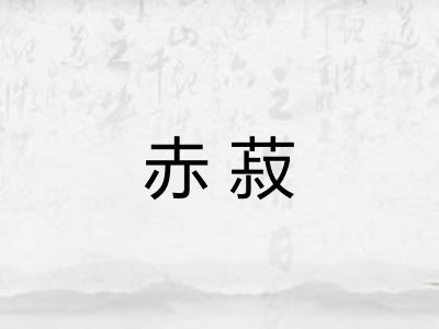 赤菽