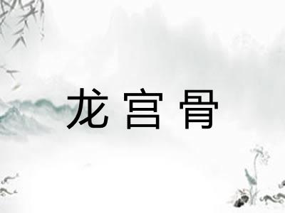 龙宫骨