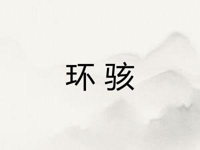 环骇