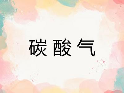 碳酸气