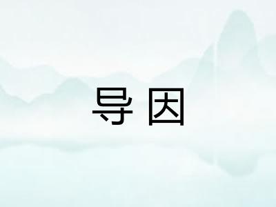 导因