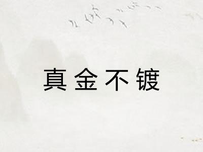 真金不镀